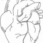 снимка Скици на татуировка Сърце от 20.06.2018 №141 - Скици Татуировка Сърце -