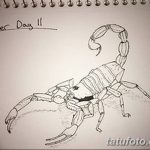 fotó vázlat egy skorpió tetoválásról, 2018.04.24. №025 - skorpió tetoválás vázlata -