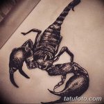 fotó vázlat egy skorpió tetoválásról, 2018.04.24. №163 - skorpió tetoválás vázlata -