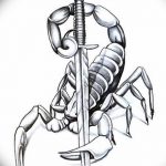 fotó vázlat egy skorpió tetoválásról, dátum: 2018.04.24., 007 - skorpió tetoválás vázlata -
