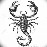 fotó vázlat egy skorpió tetoválásról, 2018.04.24. №028 - skorpió tetoválás vázlata - 3634 36 345