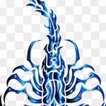 fotó vázlat egy skorpió tetoválásról, 2018.04.24. №091 - skorpió tetoválás vázlata -