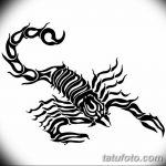 fotó vázlat egy skorpió tetoválásról, 2018.04.24. №104 - skorpió tetoválás vázlata -