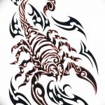 fotó vázlat egy skorpió tetoválásról, 2018.04.24., 105 - skorpió tetoválás vázlata -