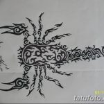 fotó vázlat egy skorpió tetoválásról, dátum: 2018.04.24 №113 - skorpió tetoválás vázlata -