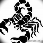 fotó vázlat egy skorpió tetoválásról, dátum: 2018.04.24 №124 - skorpió tetoválás vázlata -