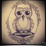 akvarell bagoly tetoválás vázlata 4