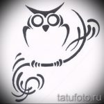 kis bagoly tetoválás vázlata 5