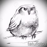 Egyszerű vázlat egy bagoly jelenlétével