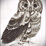 bagoly tetoválás a hátán 2