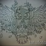 bagoly koponya tetoválás vázlata 5