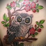 bagoly tetoválás vázlata 3