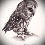 bagoly tetoválás a 6 lábán