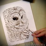 bagoly tetoválás tervez realizmus 1