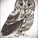 bagoly tetoválás realizmus tervez 3