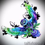 Eule Tattoo Skizzen americanische 5