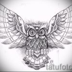 bagoly tatouage esquisse américaine 2
