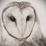 tetovált bagoly vázlata a kezén 3