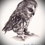 tetovált bagoly vázlata a kezén 4