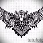 tatouage hibou conçoit sur l'avant-bras 1
