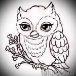 bagoly tetoválás vázlat lányoknak 1