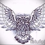 bagoly tetoválás vázlat lányoknak 18