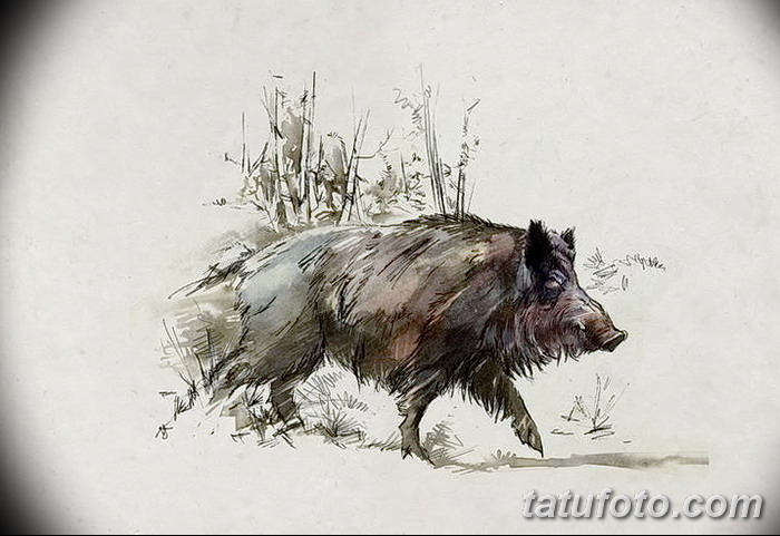 снимка Скици на татуировка на прасе (глиган) от 26.09.2017 г. №012 - Скици на прасе -