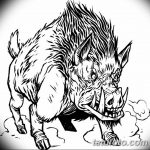 снимка Скици на татуировка на прасе (глиган) от 26.09.2017 г. №067 - Скици на прасе -