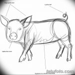 снимка Скици на татуировка на прасе (глиган) от 26.09.2017 г. №001 - Скици на прасе -