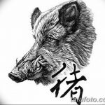 снимка Скици на татуировка на прасе (глиган) от 26.09.2017 г. №005 - Скици на прасе -