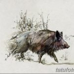 снимка Скици на татуировка на прасе (глиган) от 26.09.2017 г. №012 - Скици на прасе -