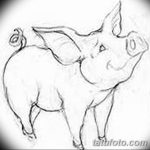 снимка Скици на татуировка на прасе (глиган) от 26.09.2017 г. №016 - Скици на прасе -