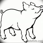 снимка Скици на татуировка на прасе (глиган) от 26.09.2017 г. №017 - Скици на прасе -