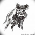 снимка Скици на татуировка на прасе (глиган) от 26.09.2017 г. №019 - Скици на прасе -