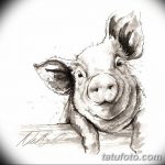 снимка Скици на татуировка на прасе (глиган) от 26.09.2017 г. №025 - Скици на прасе -