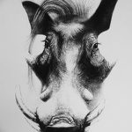 снимка Скици на татуировка на прасе (глиган) от 26.09.2017 г. №027 - Скици на прасе -