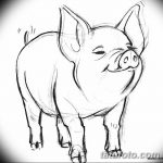 снимка Скици на татуировка на прасе (глиган) от 26.09.2017 г. №029 - Скици на прасе -