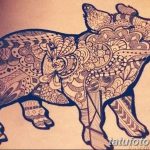 снимка Скици на татуировка на прасе (глиган) от 26.09.2017 г. №032 - Скици на прасе -