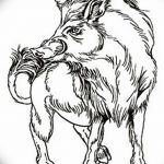 снимка Скици на татуировка на прасе (глиган) от 26.09.2017 г. No 037 - Скици на прасе -