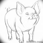 снимка Скици на татуировка на прасе (глиган) от 26.09.2017 г. №039 - Скици на прасе -