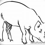 снимка Скици на татуировка на прасе (глиган) от 26.09.2017 г. No 049 - Скици на прасе -