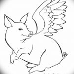 снимка Скици на татуировка на прасе (глиган) от 26.09.2017 г. №056 - Скици на прасе -