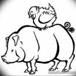 снимка Скици на татуировка на прасе (глиган) от 26.09.2017 г. №057 - Скици на прасе -