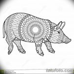 снимка Скици на татуировка на прасе (глиган) от 26.09.2017 г. №058 - Скици на прасе -