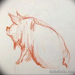 снимка Скици на татуировка на прасе (глиган) от 26.09.2017 г. №061 - Скици на прасе -