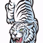 Hűvös vázlat egy tigris tetoválás tetoválásáról (rajzok a tigris tetováláshoz) - a rajz egyik változata
