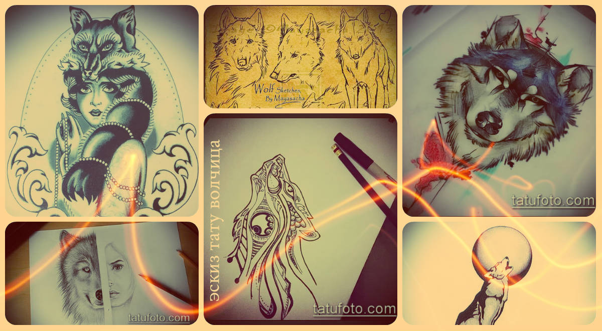 Скици на татуировка на вълк - интересни рисунки за уникална опция за татуировка