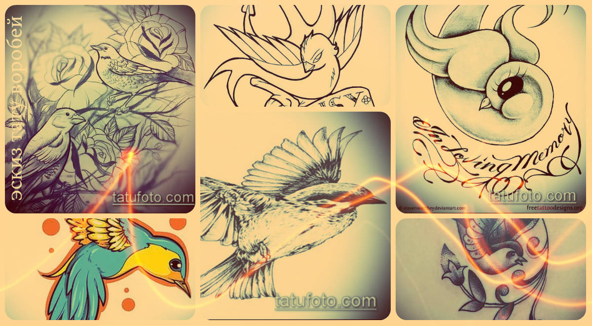Скици на татуировка на врабче - опции за рисунки за създаване на идея