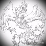 vázlat egy tetováló tűzmadárról № 978 - a rajz érdekes változata, amely sikeresen használható felülvizsgálatra és alkalmazásra, mint egy tűzmadár tetoválása a gyomorban