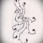 vázlat egy tetováló tűzmadárról # 528 - a minta hűvös változata, amely sikeresen használható a tűzmadarak finomítására és tetoválására a hátán